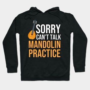 Mandolin Funny Hoodie